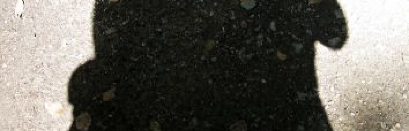 Съществуват ли сродни души? Съществуват ли сродни души?