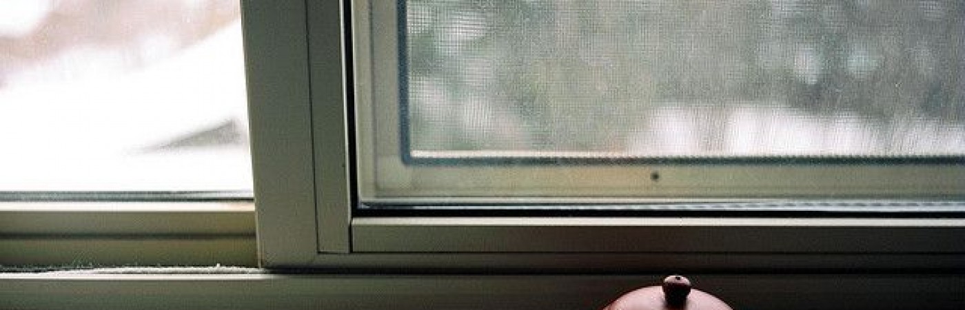 Зимата на нашето доволство Зимата на нашето доволство